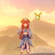 你知道的我从不玩充能步枪