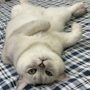 身殘志堅愛工作