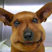 Ag1nt мыш@ - steam id 76561199612164979