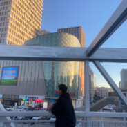 翻斗花园突破手胡英俊