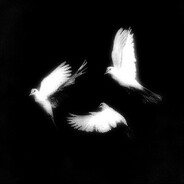 vзлоmал сuстему's Avatar