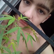 BT - steam id 76561198345744035