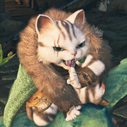 小熊猫部落酋长