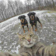 嗨，我是内部人士爷爷