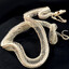 SHADOW SNAKE