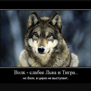 вотч Krak1n