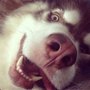 电气化铁道技术