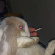 又碰到地球人了