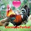 CocoseluTurbat