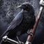 Undead Crow