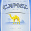 Camel Azul