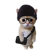 我菜我不难受吗