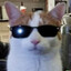 FRNKZ^^-'s avatar