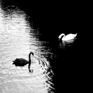 无敌没毛超级怪大王