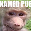 Kid Named Pubert