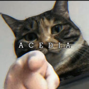 爱抽芙蓉王的电子雪豹