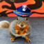 captain squirrel