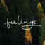 .feelings