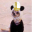 PopeHerroPanda