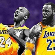 比伯菌