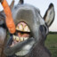 Lucky Donkey