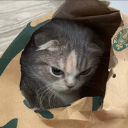 -Recud0- - steam id 76561199834777163