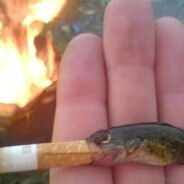 ебашу с китайцами