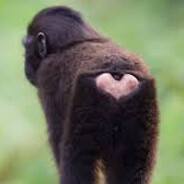 aimhaus M0NKEY - steam id 76561199629008637