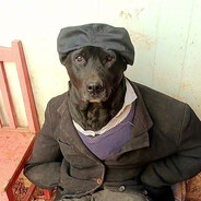 umer v inpute - steam id 76561199200623564