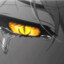 Aisha&#039;s Tears