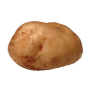 阳光射不进去的地方欧尼酱可以