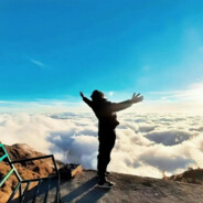 长路漫漫，其修远兮