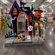 我我我我是tiger