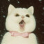 ♔ Mia