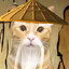 老吴大师