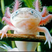the_all_powerful_cosmic_axolotl