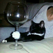 Junipurrr