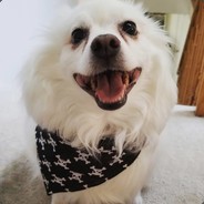 tinyy - steam id 76561197960535736