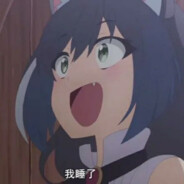 黑猫-土耳其限定版