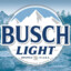 Busch