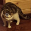 Vis-A-Via