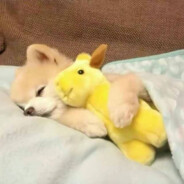 静静的呆一会儿