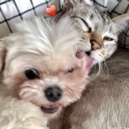 Ethannnn - steam id 76561199811066815