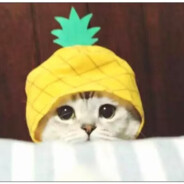 澳门新葡京0000.cc