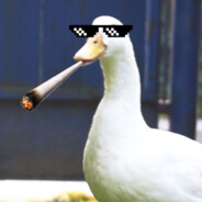 RadioZActive - steam id 76561198349890444