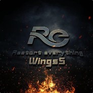 WingsS