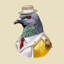 Lord Pigeon