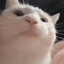 takkeke