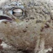 mastalavista - steam id 76561197971059369