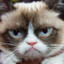 GrumpyCat